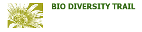 Link to Bio Diversity Trail Brochure